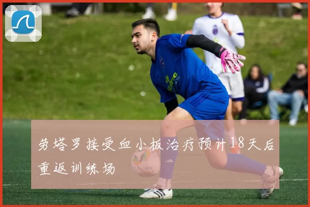 劳塔罗接受血小板治疗预计18天后重返训练场