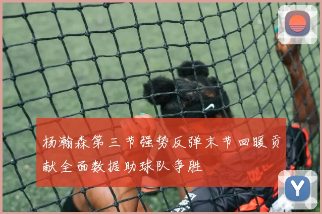 杨瀚森第三节强势反弹末节回暖贡献全面数据助球队争胜