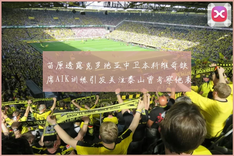 苗原透露克罗地亚中卫本科维奇缺席AIK训练引发关注泰山曾考察他表现