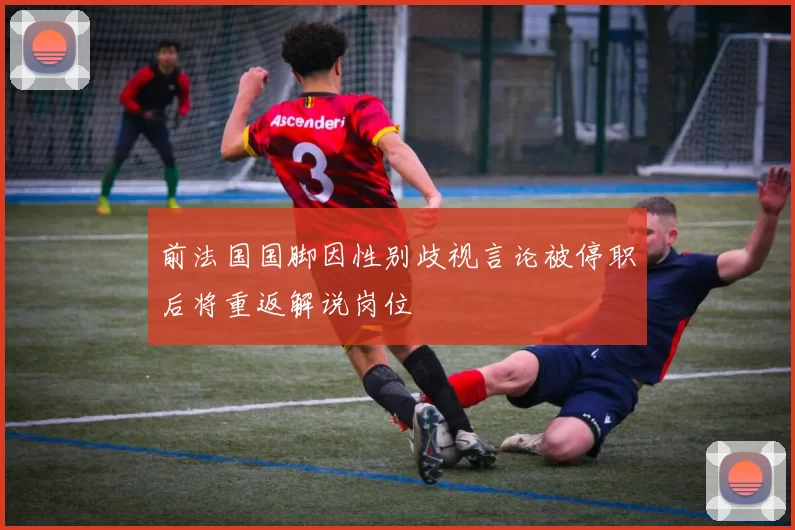 前法国国脚因性别歧视言论被停职后将重返解说岗位